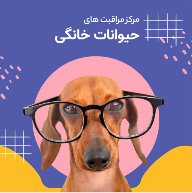طراحی پست اینستاگرام با گوشی برای پت شاپ | 33 ایده خلاقانه